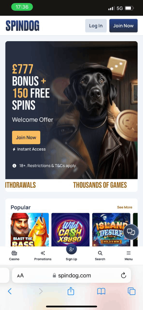 SpinDog Casino Mobile Experience